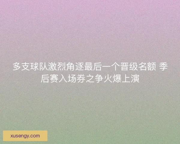 多支球队激烈角逐最后一个晋级名额 季后赛入场券之争火爆上演