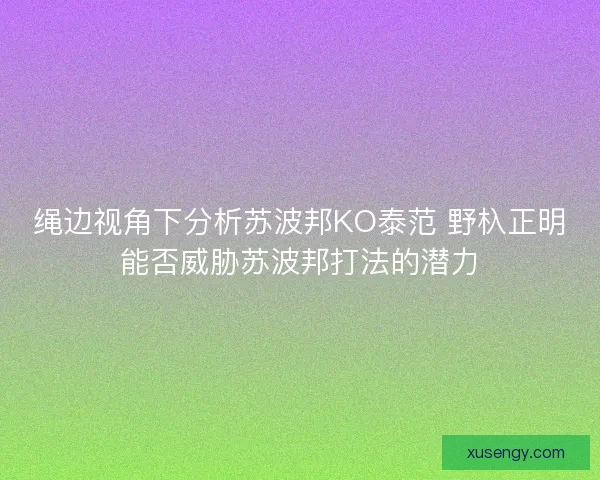 绳边视角下分析苏波邦KO泰范 野杁正明能否威胁苏波邦打法的潜力
